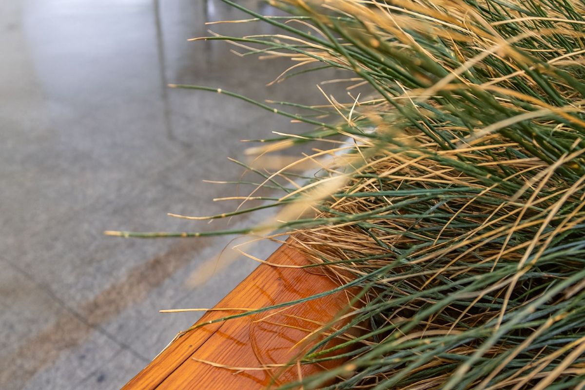 Devamını Oku Kendine Günahkar