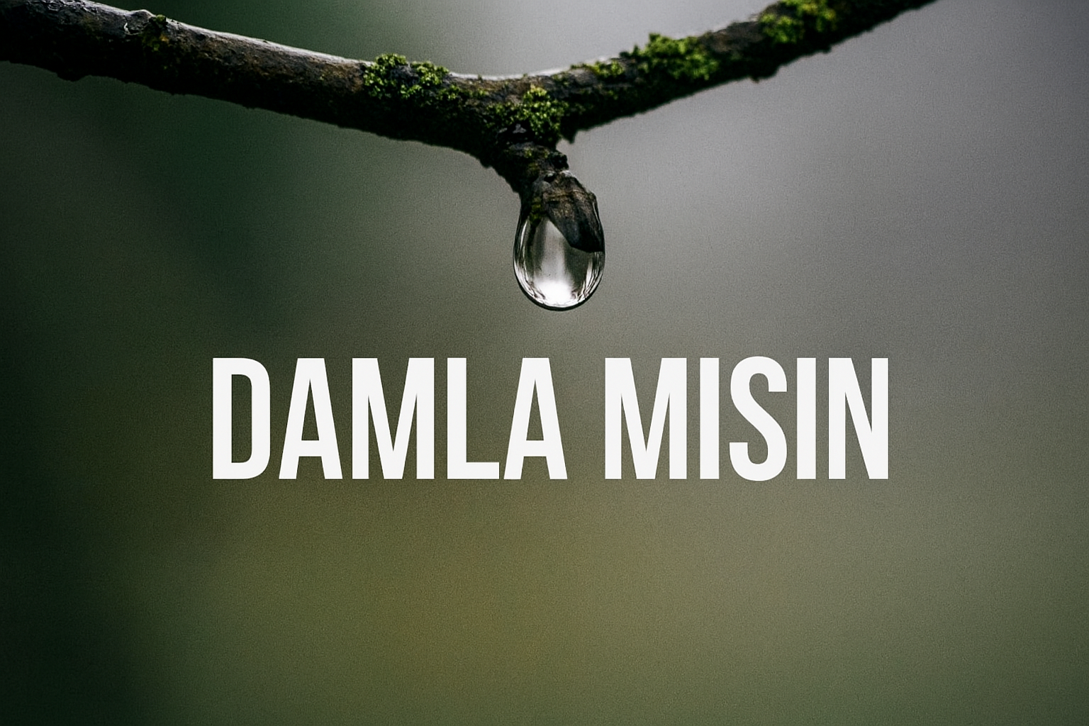 You are currently viewing Damla mısın