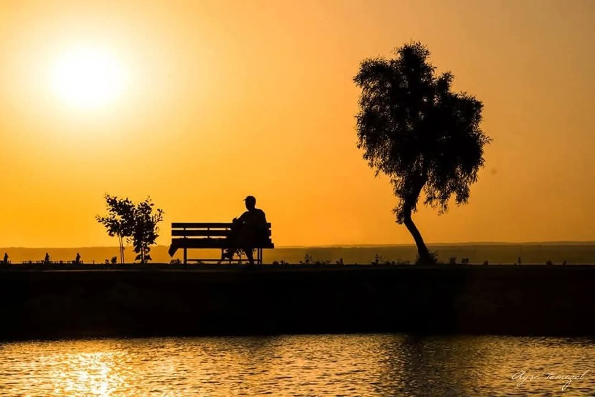 Devamını Oku İçine Çoğalmak