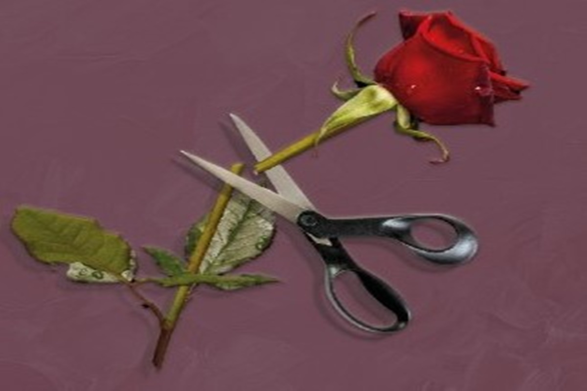 You are currently viewing İnsanı Tanıma Sanatı