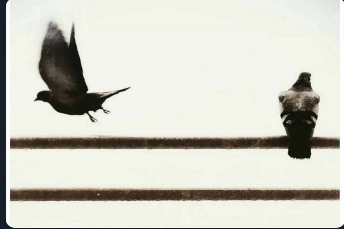 Devamını Oku Aidiyet Krizi