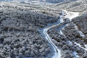 Şubat’ın Çağrısı