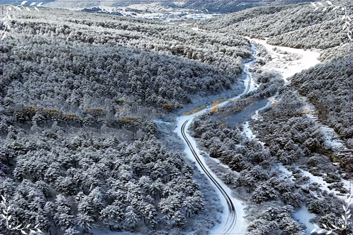 Şubat’ın Çağrısı