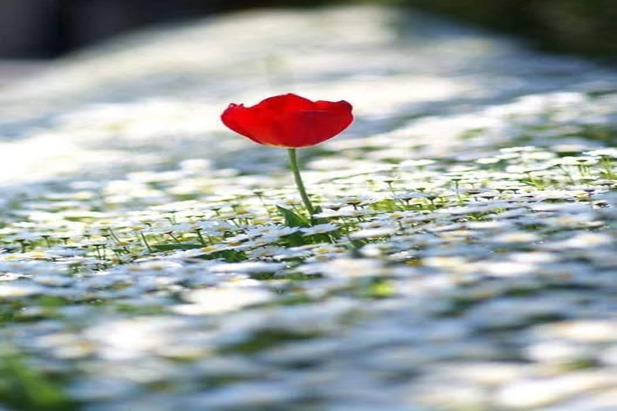 Mart’ın Seslenişi